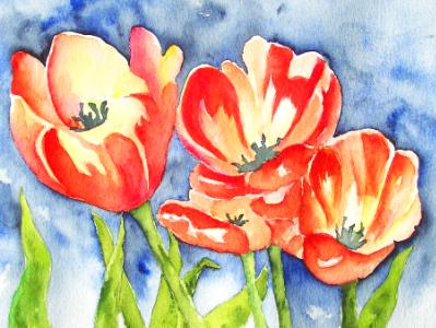 Tulips in Spring Tulips in Spring