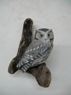 Half size Screech Owl (grey phase) 2