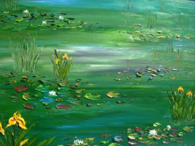 White water lillies White water lillies