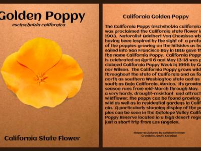 Golden Poppy California State Flower
