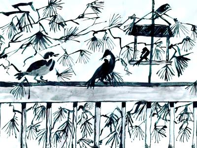 Birds Birds