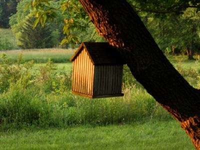 Birdhouse