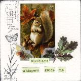 3X3 Collage - Woodland Whispers
