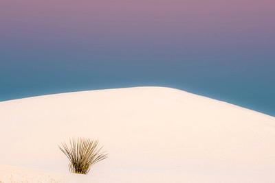 White Sands Dawn