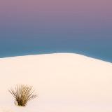 White Sands Dawn