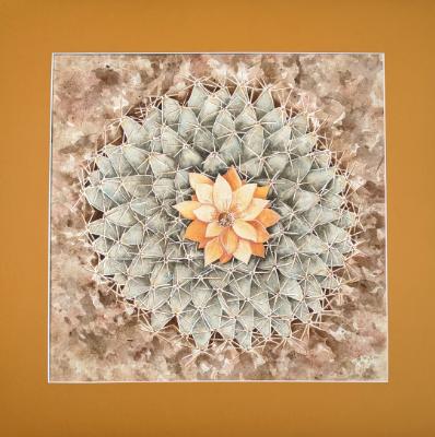 Prickly Prickly