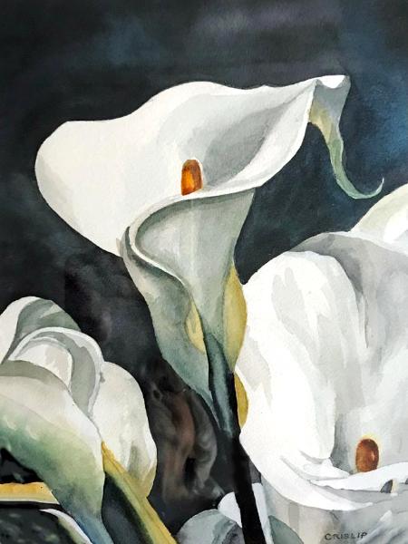 Barbara Peterson Crislip