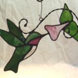 Hummingbird in Pink Trumpet Flower Vine