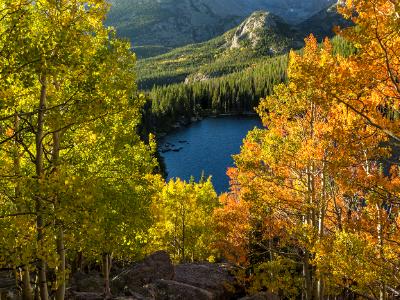 Yellow and Orange Aspens Above Bear Lake Yellow and Orange Aspens Above Bear Lake