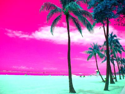 Pink Paradise