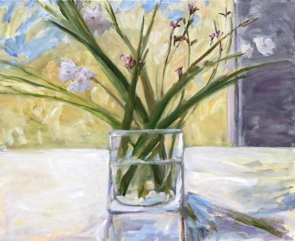 Paper whites 16 x 20