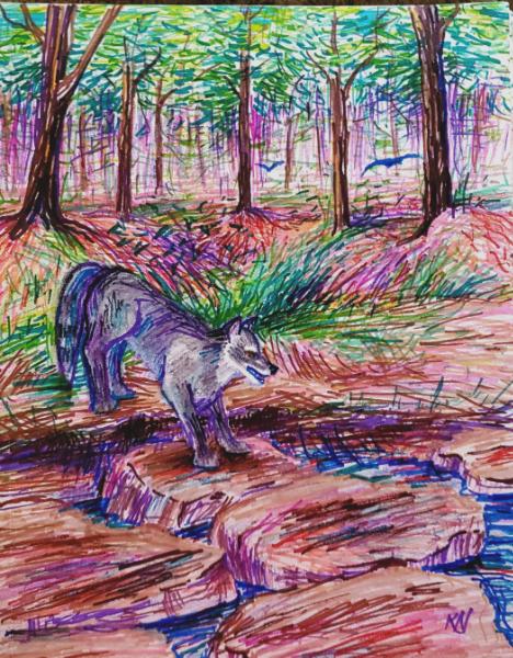 Nature's Obstructions