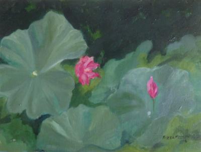 *Lotus Pond, Xian, China (private collection) *Lotus Pond, Xian, China (private collection)
