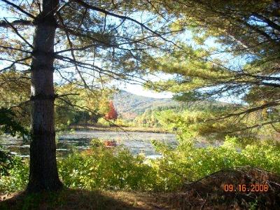 Charge Pond through the Forest