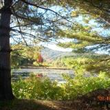 Charge Pond through the Forest