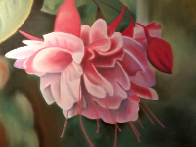 "Fuschia" "Fuschia"