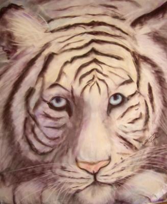 Blue Eyed Tiger