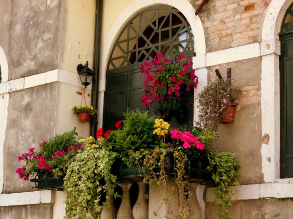 Windowsill in Venice