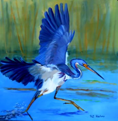 Tri-Colored Heron - SOLD Tri-Colored Heron - SOLD