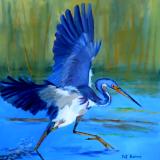 Tri-Colored Heron - SOLD