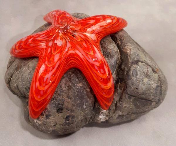 #10262623 Starfish on rock 3.75''HX6.5''WX5''D $150.00