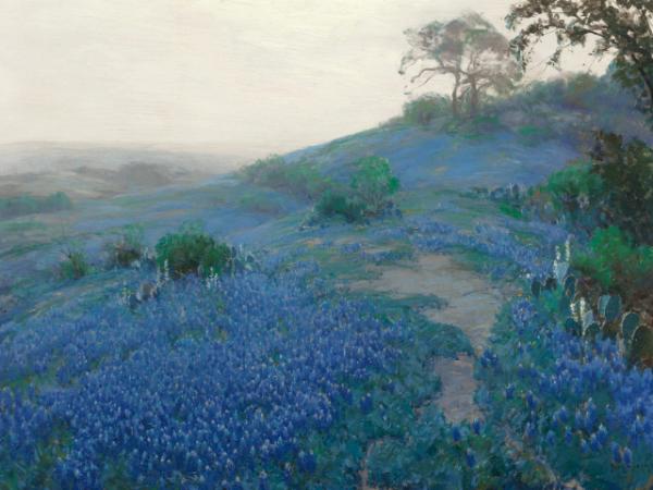 Blue Bonnet Field Early Morning