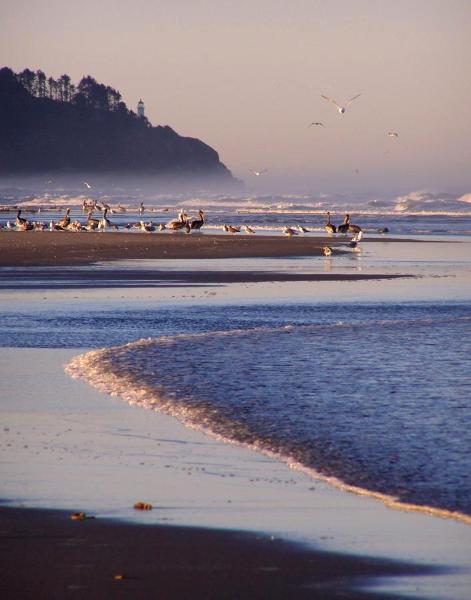 Morning on the Beach