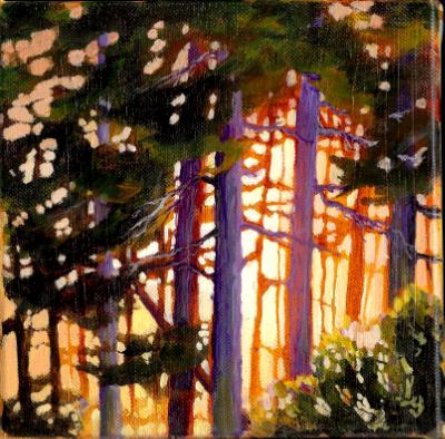 Madrona Sunset Madrona Sunset