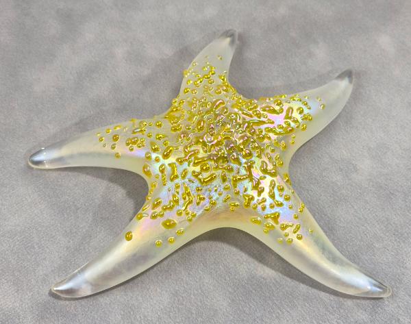 #03 #02252609 Starfish Glows in the dark 6.75'' W Iridised  $100.00