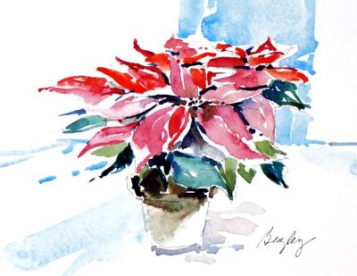 Poinsettia on Table Poinsettia on Table