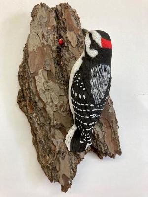 Downy Woodpecker #58
