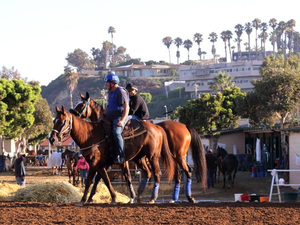 Del Mar Racetrack Early Morning Workout Thoroughbred Horses