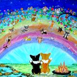 Visit From The Rainbow Bridge Llyr's Fire 2018    8x10