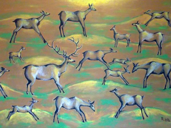 Deer Herd