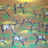 Deer Herd