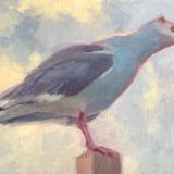 Gull Call 9x12" oil
