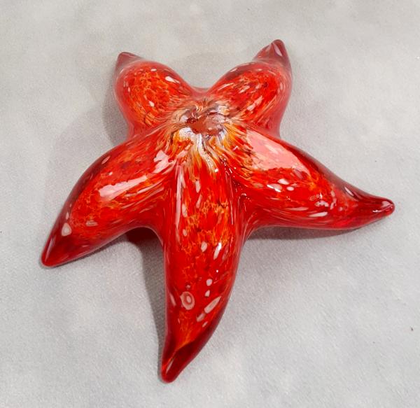 #12152509 Starfish Wall Hanger 6''W   $85.00
