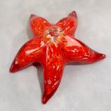 #12152509 Starfish Wall Hanger 6''W   $85.00