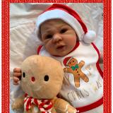 NEW ARRIVAL ~ Reborn baby girl ~ Maddison ~ ADOPTED/SOLD