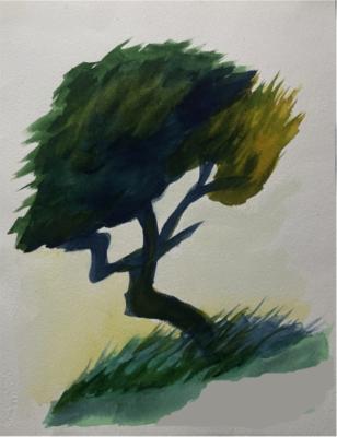 BIRD/TREE