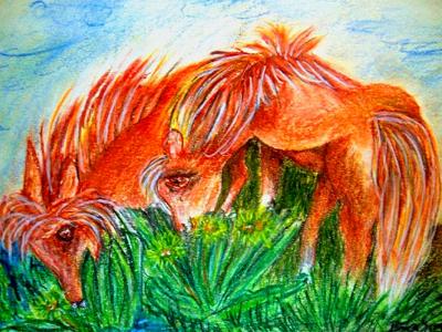 2 Ponies