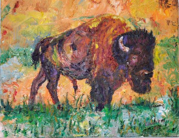 Buffalo Big Bull