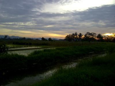 sunset sunset