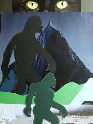 Shadow Shadow