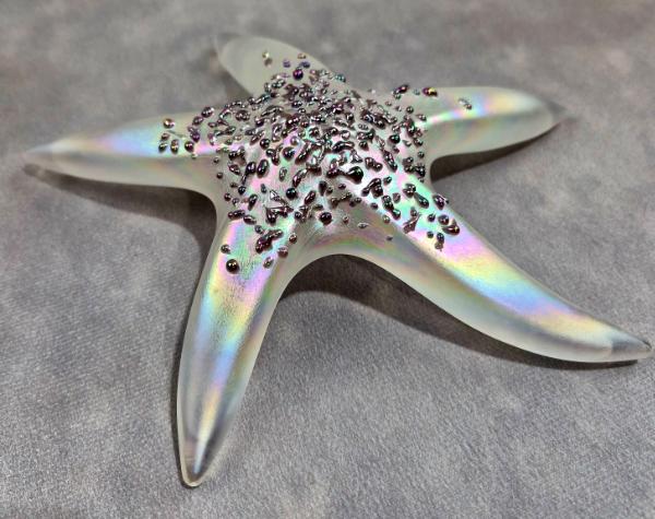 #02252607 Starfish Glows in the dark 7.25'' W Iridised  $100.00
