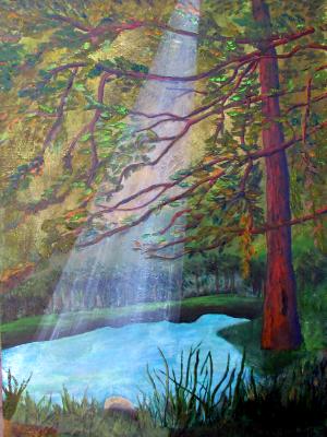 "Forest Gift" "Forest Gift"
