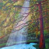 "Forest Gift"