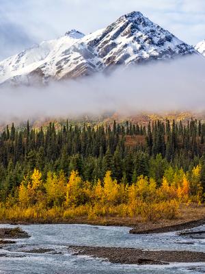 Many Layers of Denali Autumn Many Layers of Denali Autumn