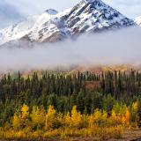 Many Layers of Denali Autumn