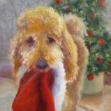 Santa's Playmate